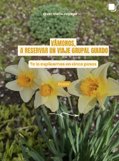 Vermella Voyage en Instagram