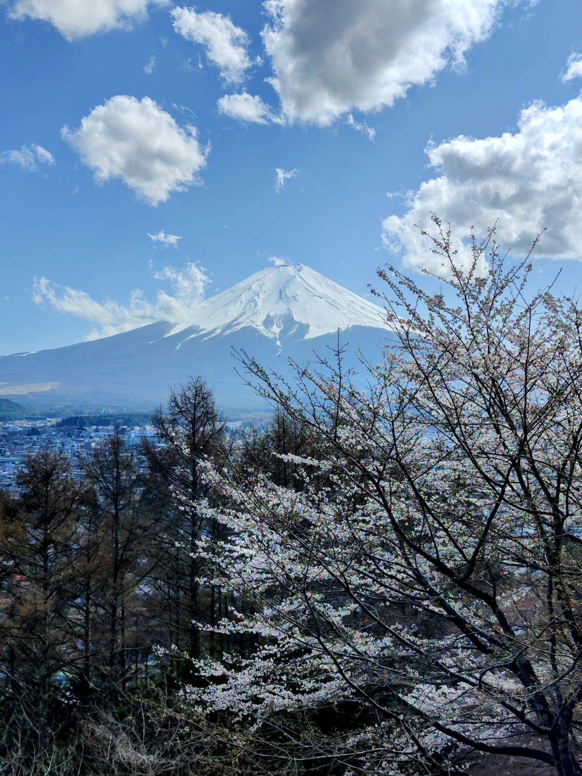 Viaje personalizado a Corea del Sur y Japón
